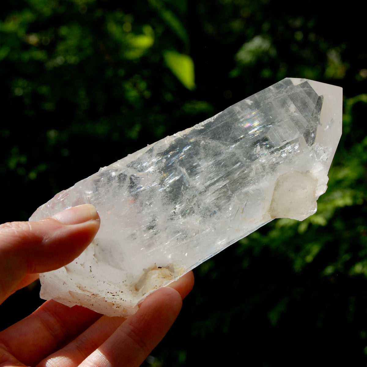 Record Keeper Channeler Blades of Light Lemurian Crystal Starbrary, 5.5" 377g Powerful Rainbow Filled Optical Devic Temple, Colombia