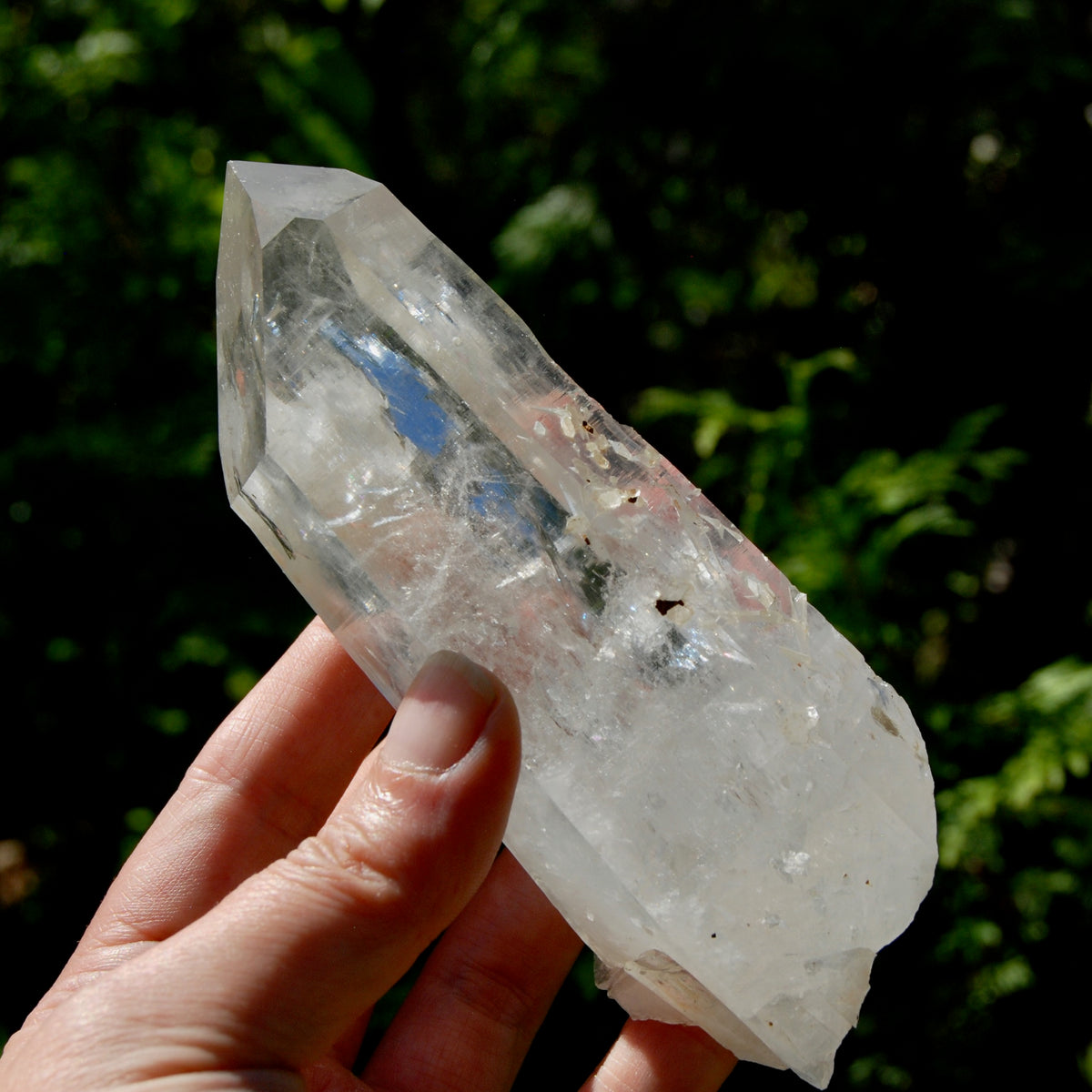 Record Keeper Channeler Blades of Light Lemurian Crystal Starbrary, 5.5" 377g Powerful Rainbow Filled Optical Devic Temple, Colombia
