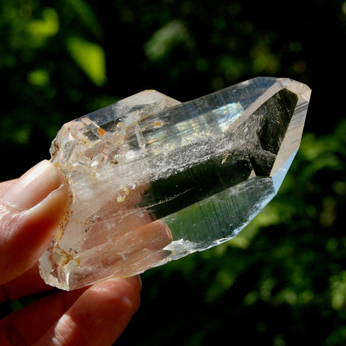 Dow Channeler Blades of Light Lemurian Crystal, 3.4" 143g Powerful Inner Child Manifestation Optical Quartz, Colombia