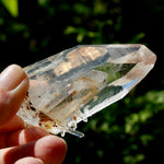 Dow Channeler Blades of Light Lemurian Crystal, 3.4" 143g Powerful Inner Child Manifestation Optical Quartz, Colombia