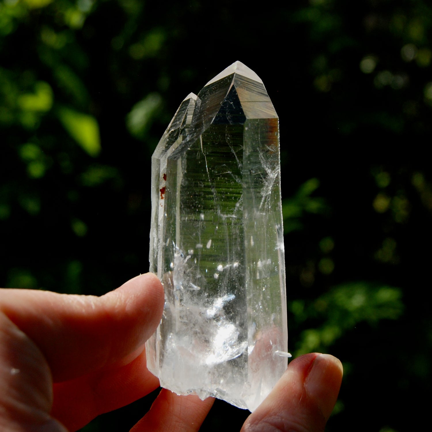 Record Keeper Tantric Twin Blades of Light Lemurian Crystal Starbrary, 3" 87g Powerful Optical Quartz, Colombia