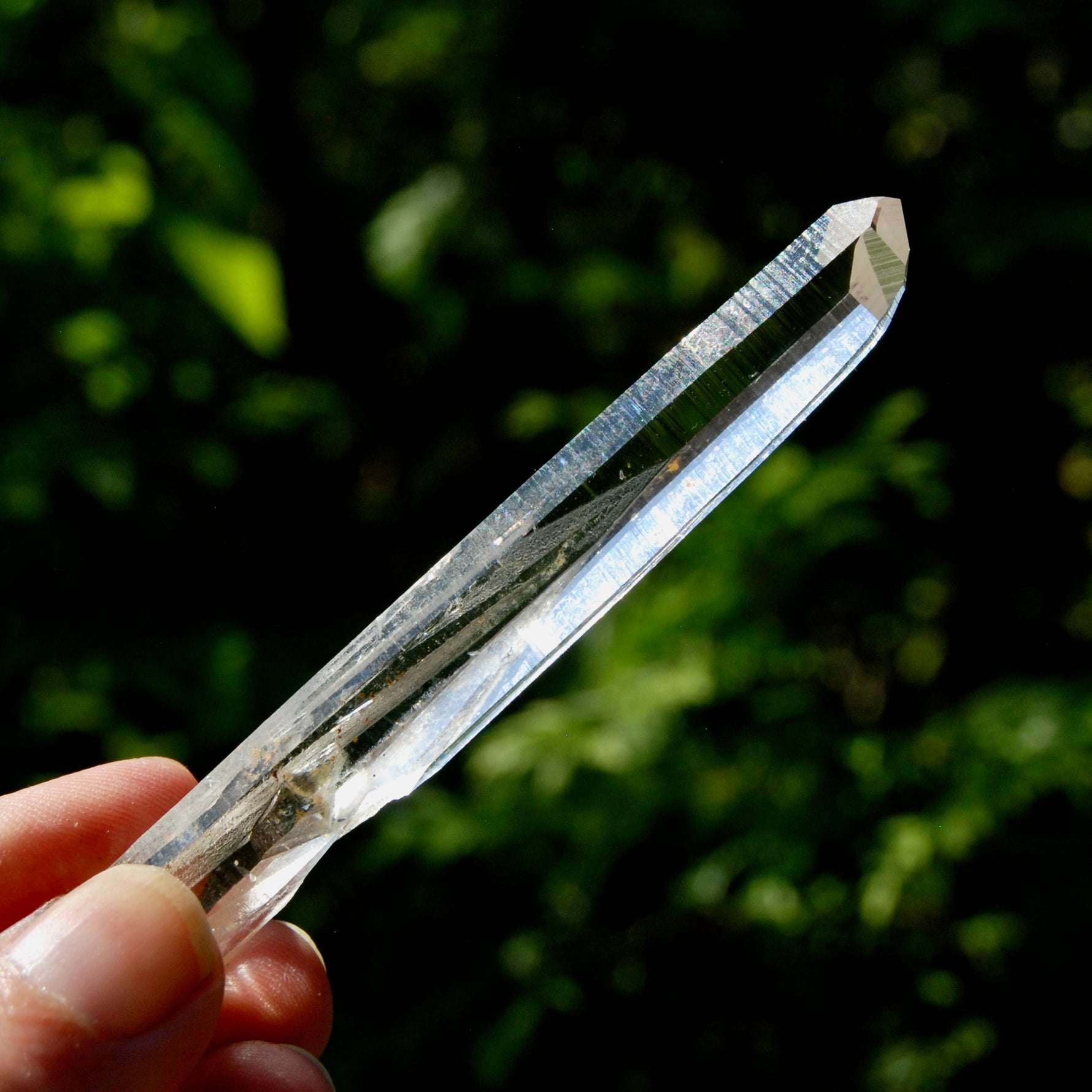 Channeler Blades of Light Lemurian Crystal, 3.8" 19g Powerful Optical Quartz, Colombia 