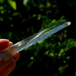 Channeler Blades of Light Lemurian Crystal, 3.8" 19g Powerful Optical Quartz, Colombia 