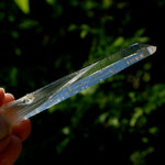 Channeler Blades of Light Lemurian Crystal, 3.8" 19g Powerful Optical Quartz, Colombia 