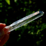 Channeler Blades of Light Lemurian Crystal, 3.8" 19g Powerful Optical Quartz, Colombia 