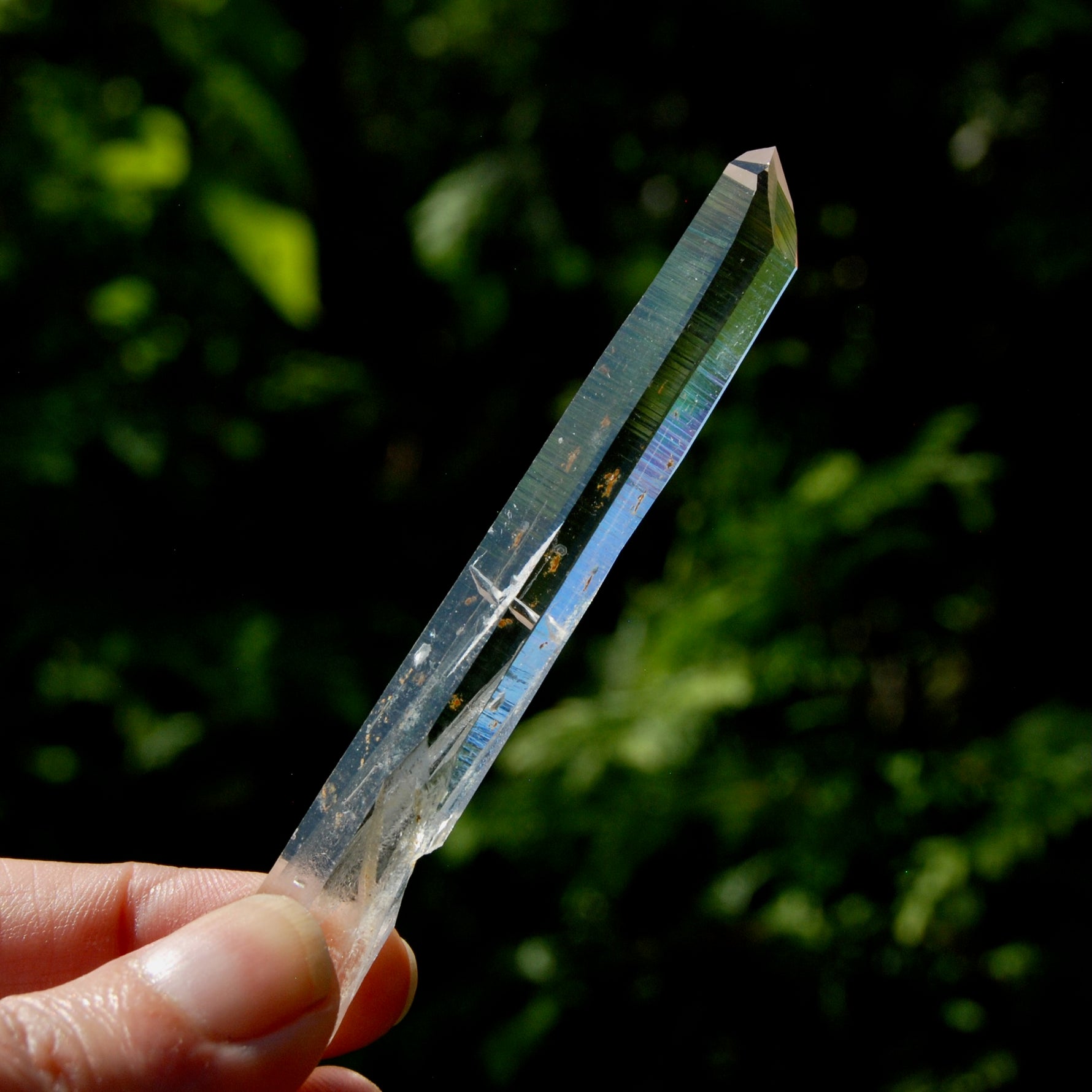 Channeler Blades of Light Lemurian Crystal, 3.8" 19g Powerful Optical Quartz, Colombia 