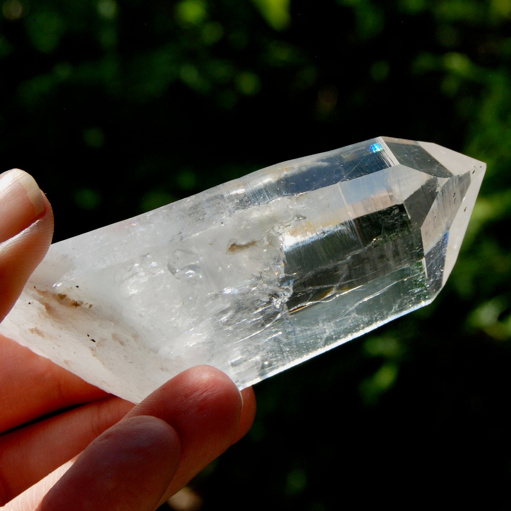 Yin Yang Blades of Light Lemurian Tabby Crystal, Powerful Optical Colombian Quartz