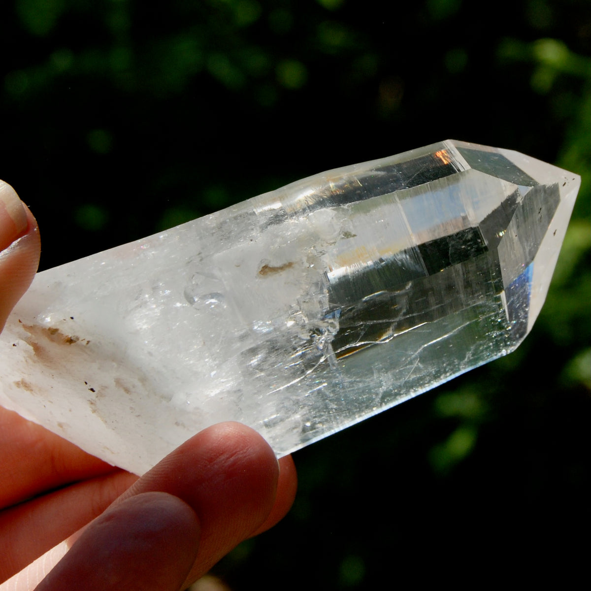 Yin Yang Blades of Light Lemurian Tabby Crystal, Powerful Optical Colombian Quartz