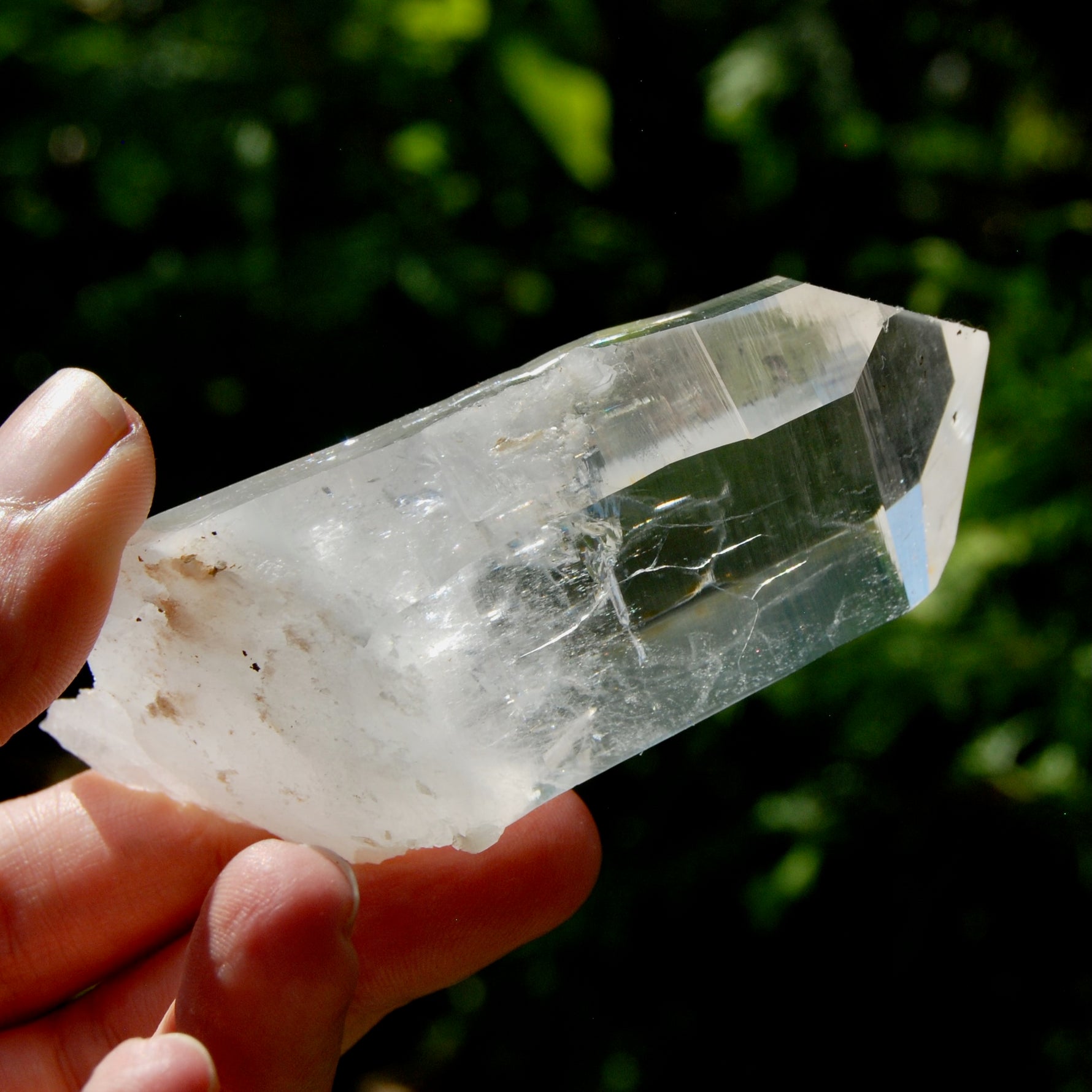 Yin Yang Blades of Light Lemurian Tabby Crystal, Powerful Optical Colombian Quartz