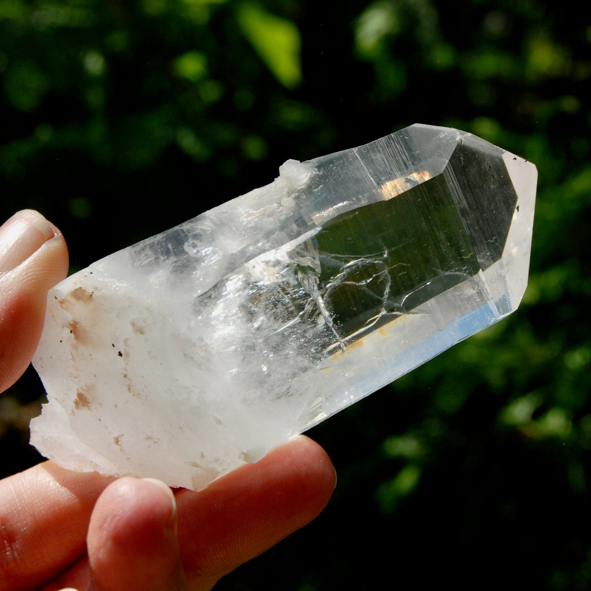Yin Yang Blades of Light Lemurian Tabby Crystal, Powerful Optical Colombian Quartz