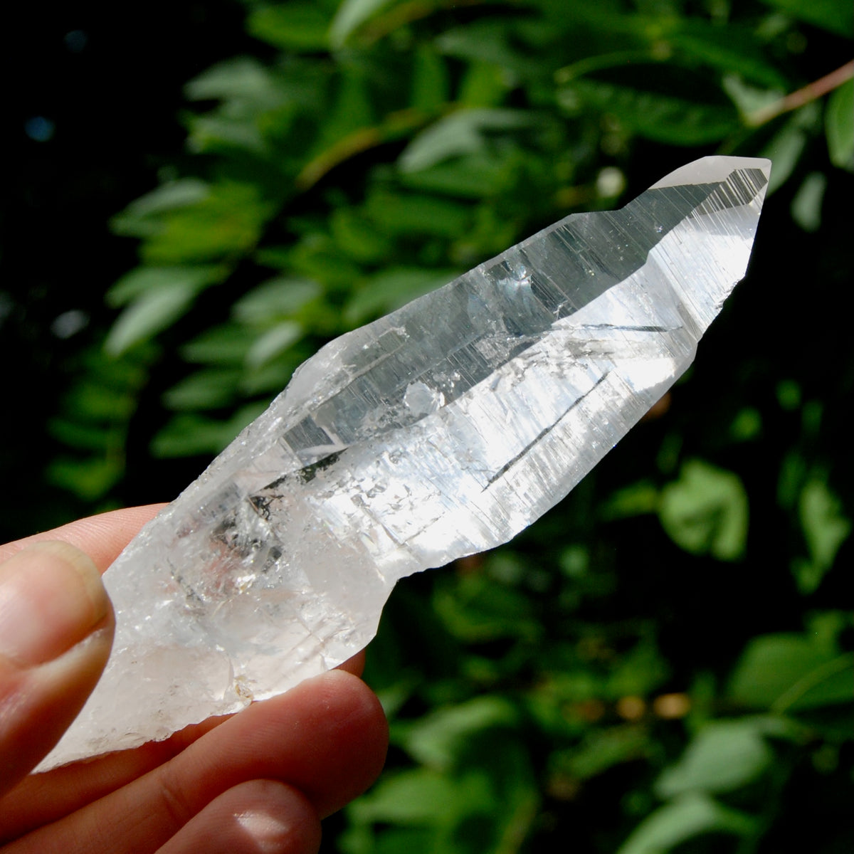 ET DT Lemurian Crystal Master Starbary- 4.5" 80g Etched Singing Optical Quartz Tabby, Colombia