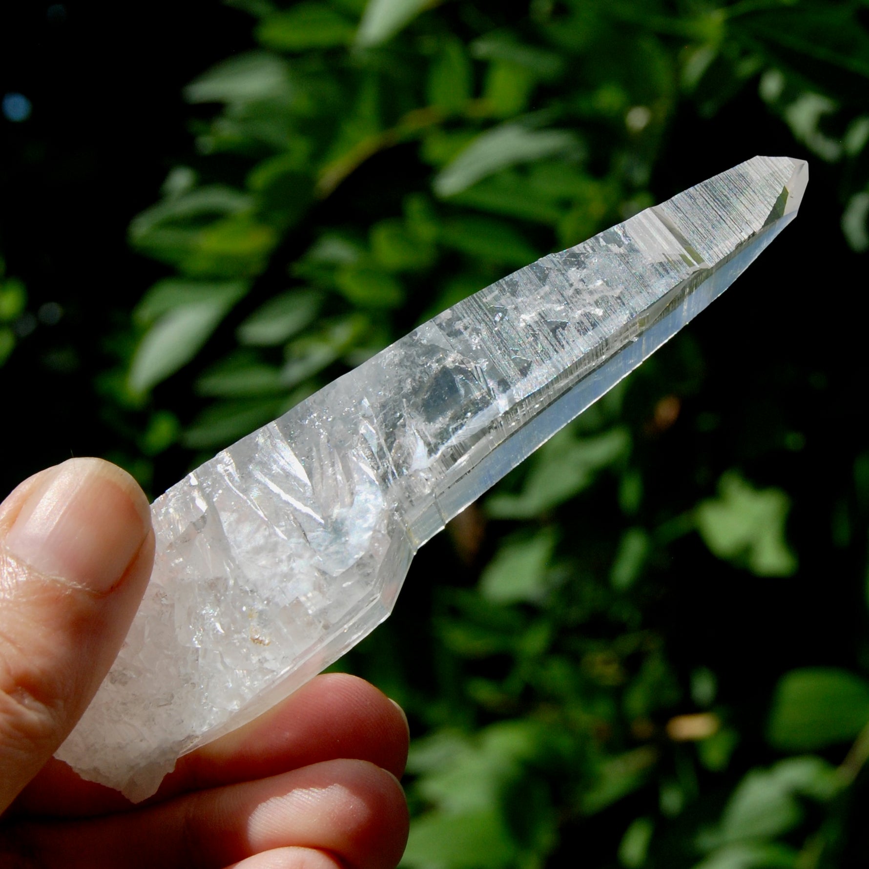 ET DT Lemurian Crystal Master Starbary- 4.5" 80g Etched Singing Optical Quartz Tabby, Colombia