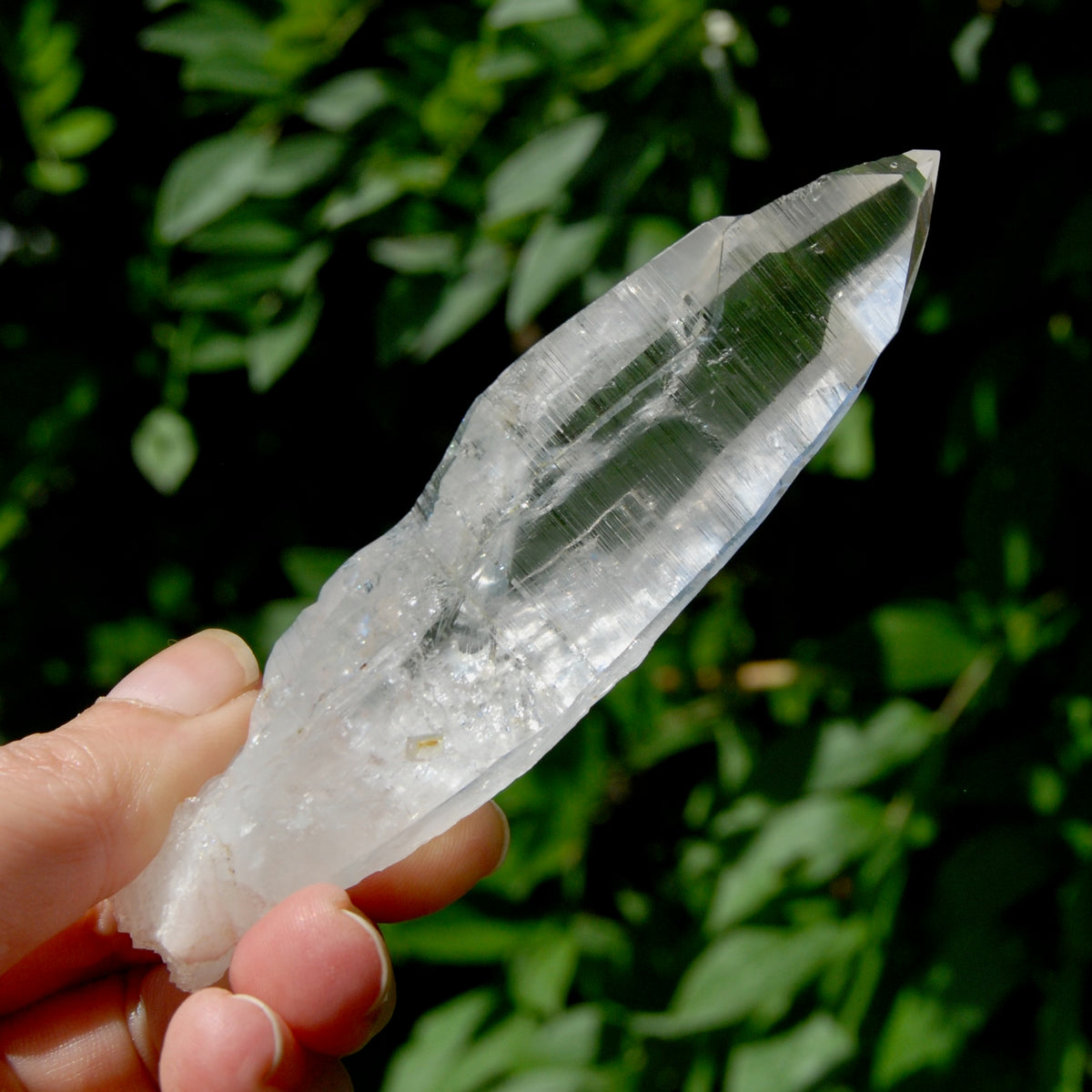 ET DT Lemurian Crystal Master Starbary- 4.5" 80g Etched Singing Optical Quartz Tabby, Colombia