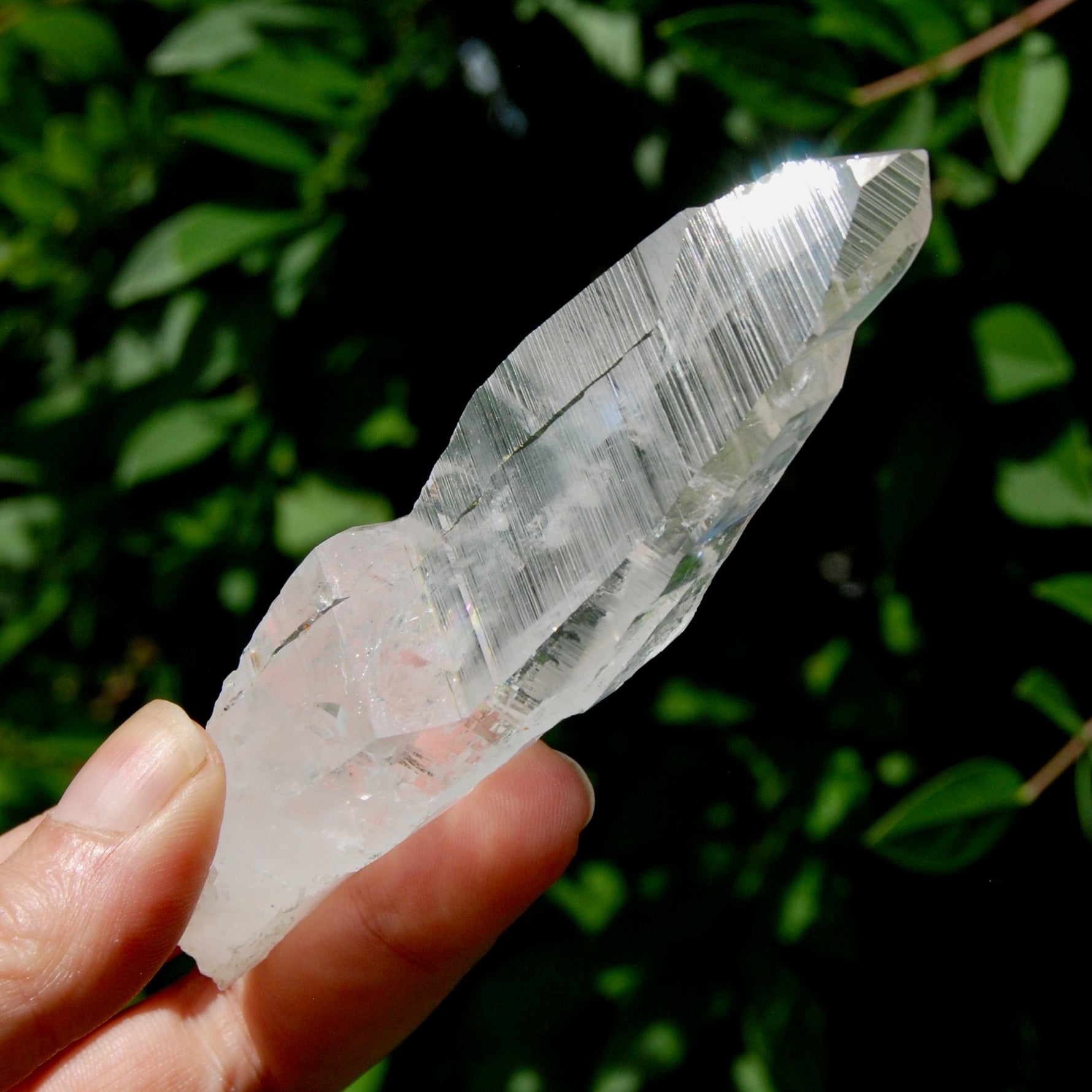 ET DT Lemurian Crystal Master Starbary- 4.5" 80g Etched Singing Optical Quartz Tabby, Colombia