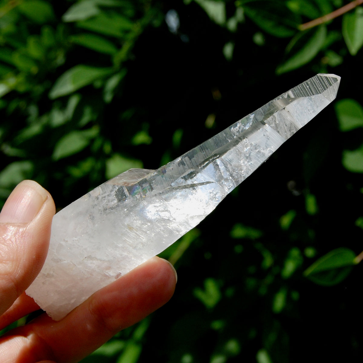 ET DT Lemurian Crystal Master Starbary- 4.5" 80g Etched Singing Optical Quartz Tabby, Colombia