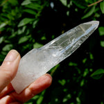 ET DT Lemurian Crystal Master Starbary- 4.5" 80g Etched Singing Optical Quartz Tabby, Colombia