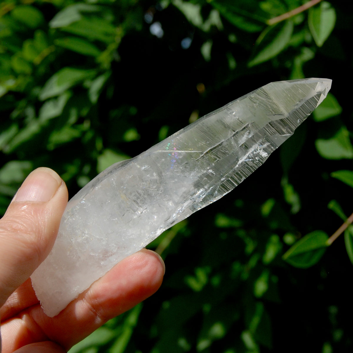ET DT Lemurian Crystal Master Starbary- 4.5" 80g Etched Singing Optical Quartz Tabby, Colombia