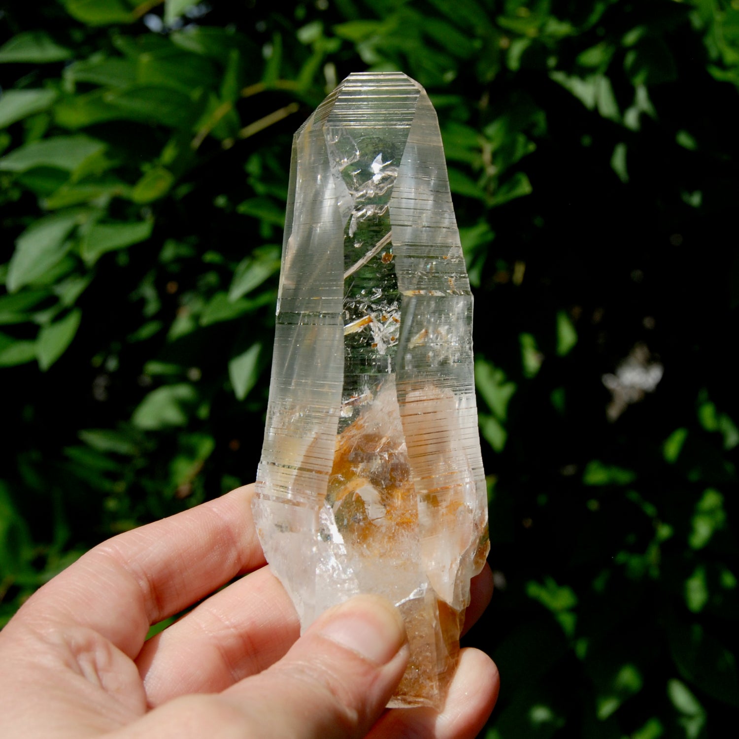 Lemurian Golden Healer Crystal - 5" 204g Inner Child Etched Optical Quartz, Colombia