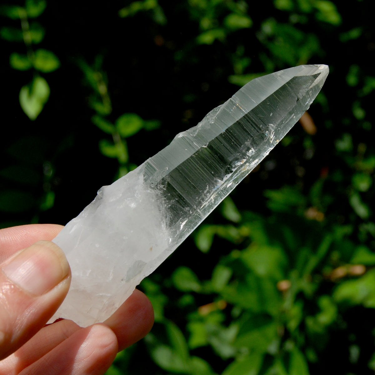 Lightning Strike Lemurian Crystal Starbary- 4.5" 69g Etched Singing Optical Quartz, Colombia