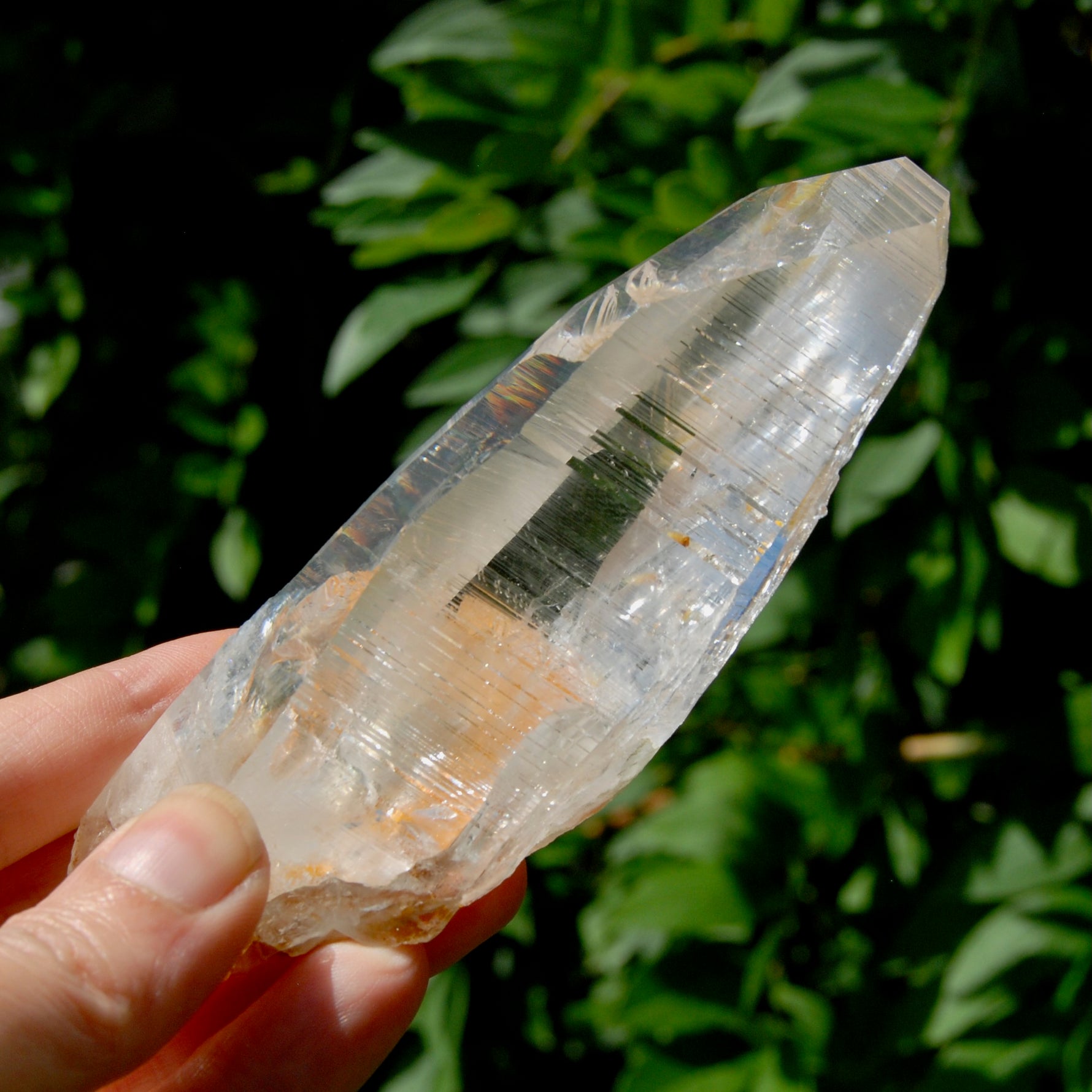 Lemurian Golden Healer Crystal - 5" 204g Inner Child Etched Optical Quartz, Colombia