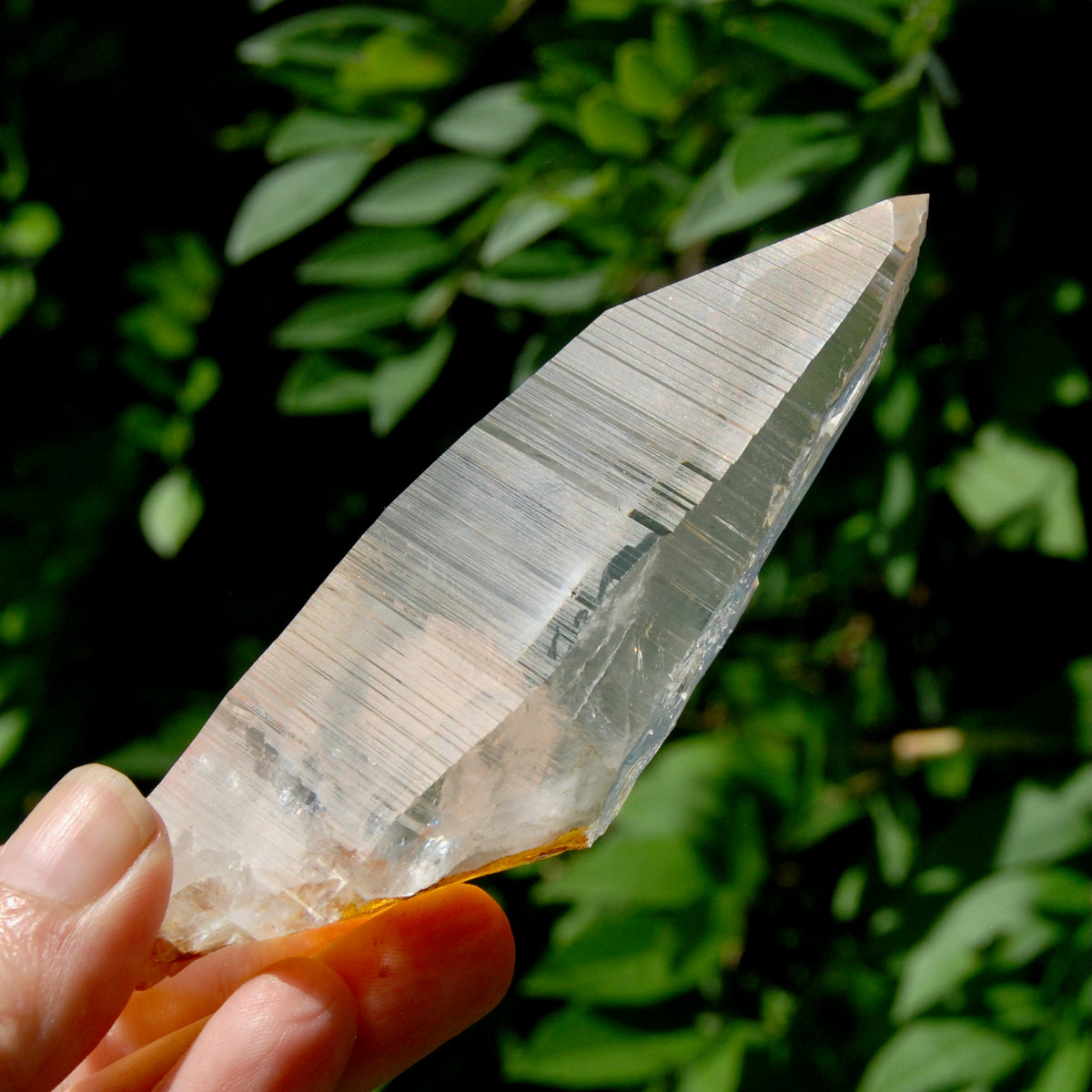 Lemurian Golden Healer Crystal - 5" 204g Inner Child Etched Optical Quartz, Colombia