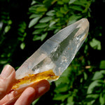 Lemurian Golden Healer Crystal - 5" 204g Inner Child Etched Optical Quartz, Colombia