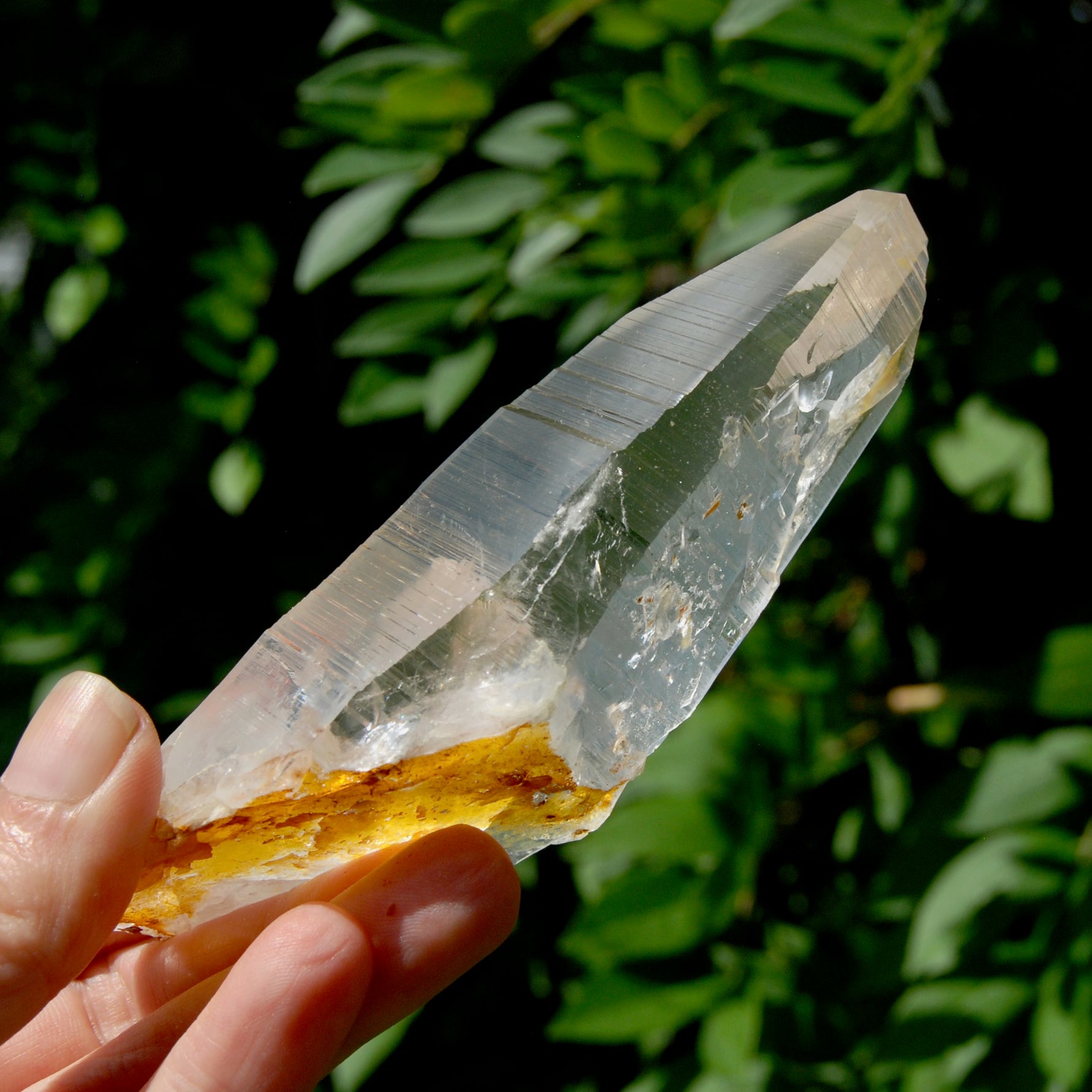Lemurian Golden Healer Crystal - 5" 204g Inner Child Etched Optical Quartz, Colombia