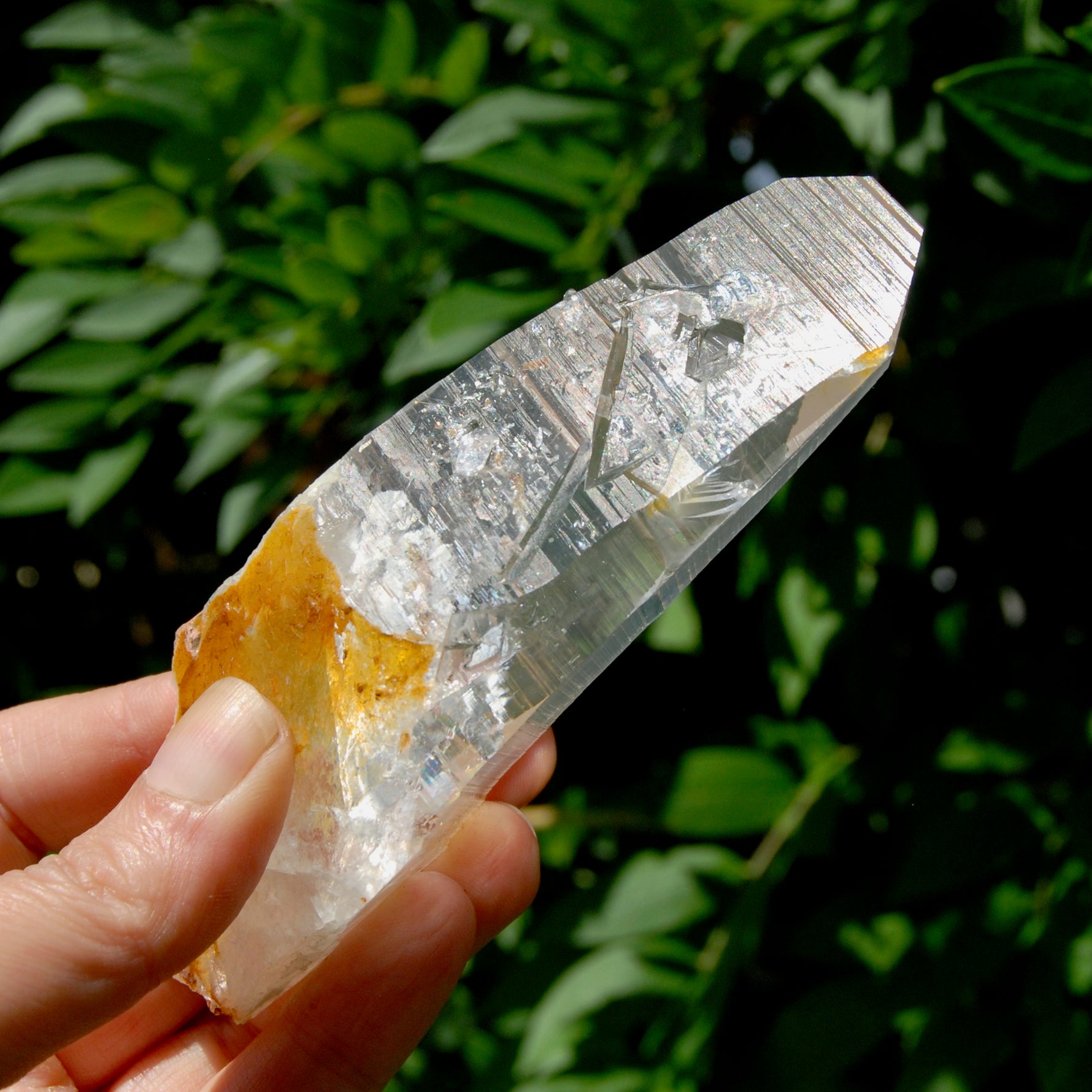 Lemurian Golden Healer Crystal - 5" 204g Inner Child Etched Optical Quartz, Colombia