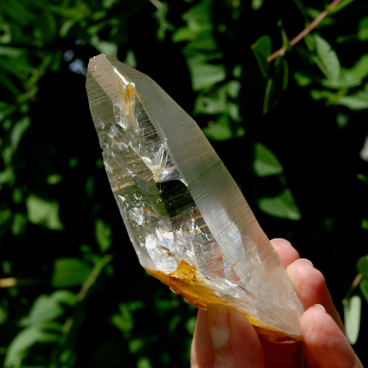 Lemurian Golden Healer Crystal - 5" 204g Inner Child Etched Optical Quartz, Colombia