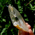 Lemurian Golden Healer Crystal - 5" 204g Inner Child Etched Optical Quartz, Colombia