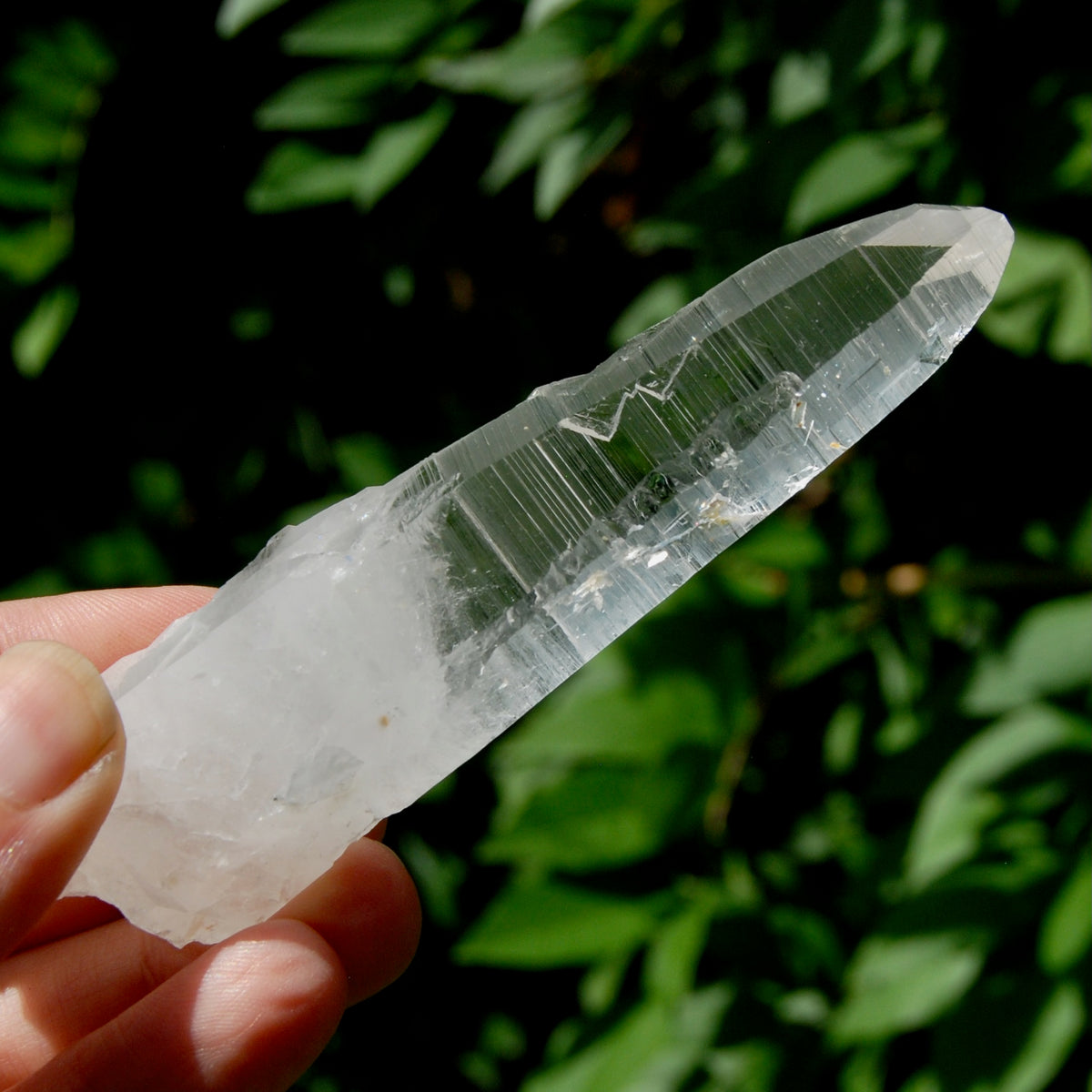 Lightning Strike Lemurian Crystal Starbary- 4.5" 69g Etched Singing Optical Quartz, Colombia