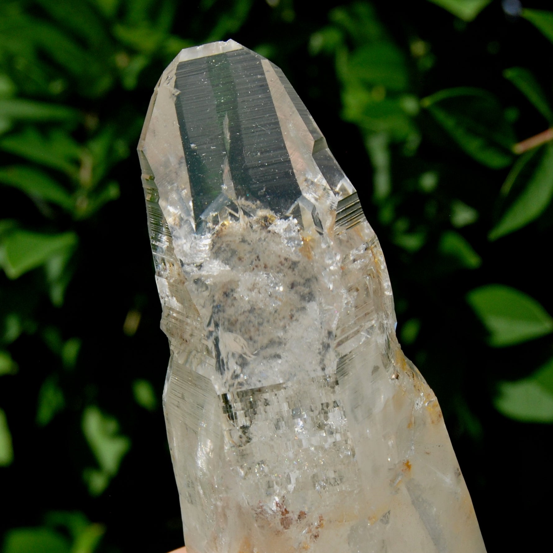Etched Ancient Lemurian Crystal - 5.25" 392g Devic Temple Optical Quartz, Colombia