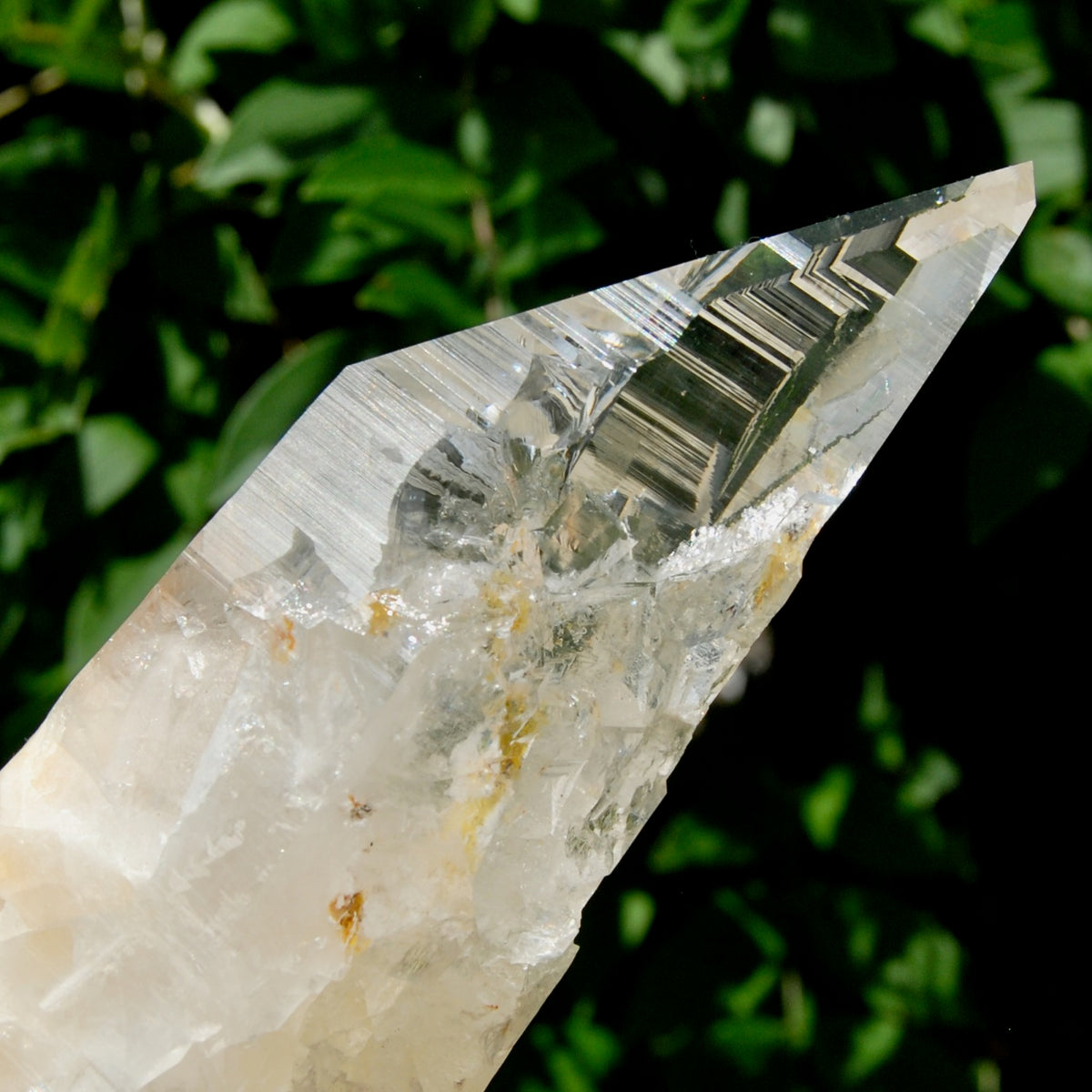 Etched Ancient Lemurian Crystal - 5.25" 392g Devic Temple Optical Quartz, Colombia