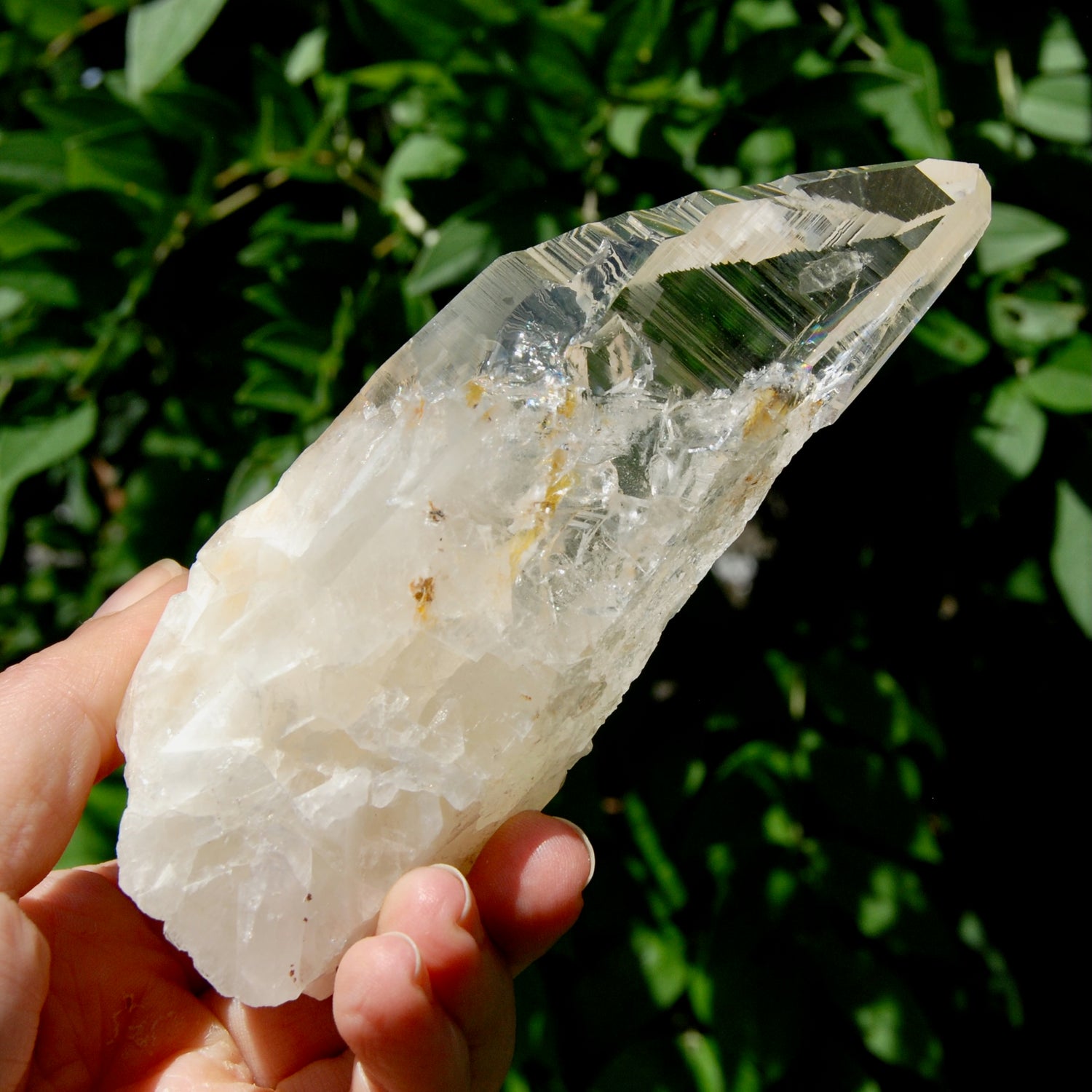 Etched Ancient Lemurian Crystal - 5.25" 392g Devic Temple Optical Quartz, Colombia