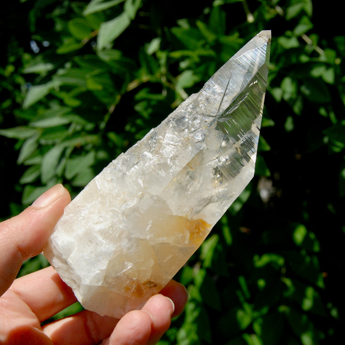 Etched Ancient Lemurian Crystal - 5.25" 392g Devic Temple Optical Quartz, Colombia