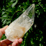 Etched Ancient Lemurian Crystal - 5.25" 392g Devic Temple Optical Quartz, Colombia