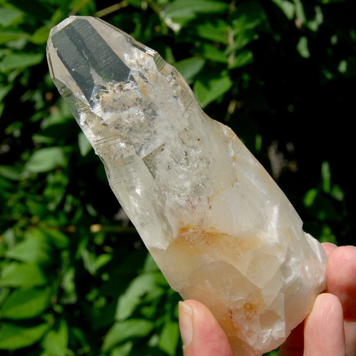 Etched Ancient Lemurian Crystal - 5.25" 392g Devic Temple Optical Quartz, Colombia