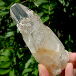 Etched Ancient Lemurian Crystal - 5.25" 392g Devic Temple Optical Quartz, Colombia