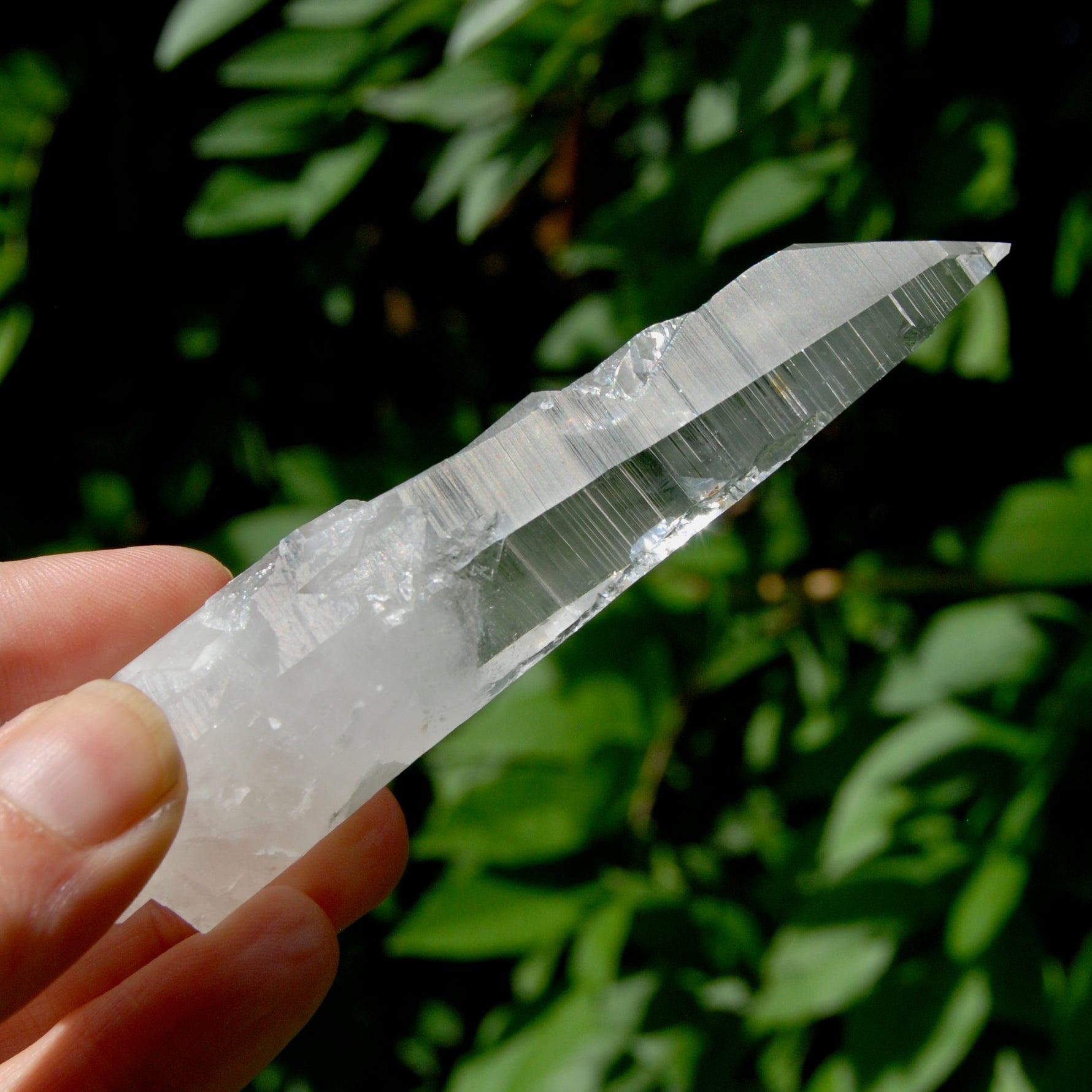 Lightning Strike Lemurian Crystal Starbary- 4.5" 69g Etched Singing Optical Quartz, Colombia