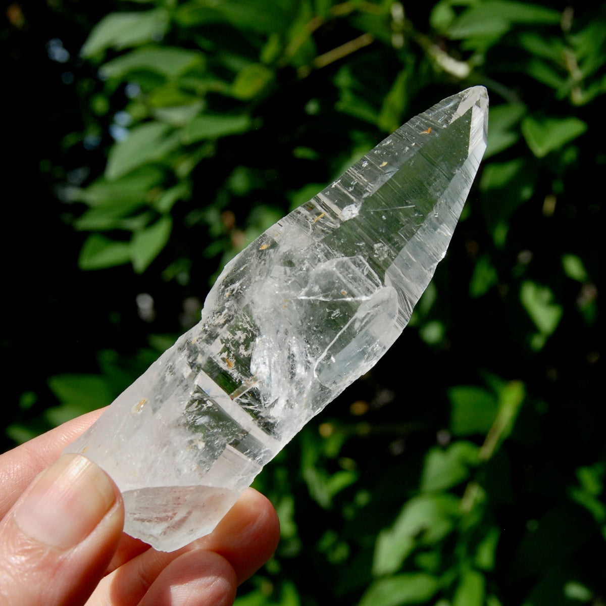 Lemurian Crystal Starbary - 4" 80g Etched Optical Quartz Tabby, Colombia 
