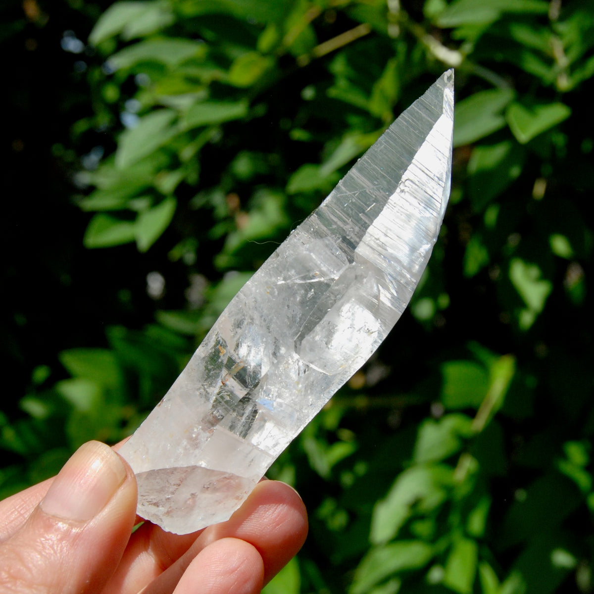 Lemurian Crystal Starbary - 4" 80g Etched Optical Quartz Tabby, Colombia 