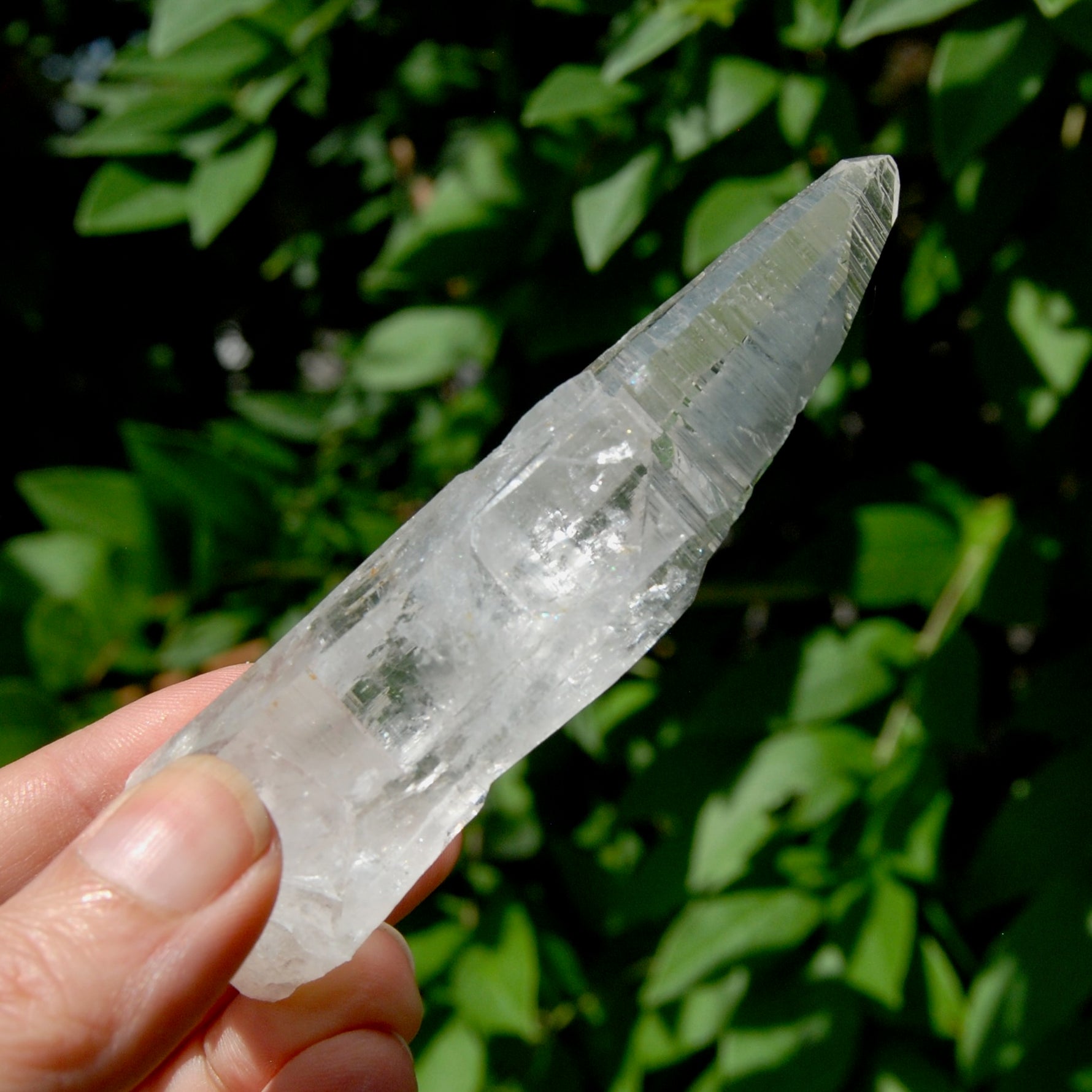 Lemurian Crystal Starbary - 4" 80g Etched Optical Quartz Tabby, Colombia 