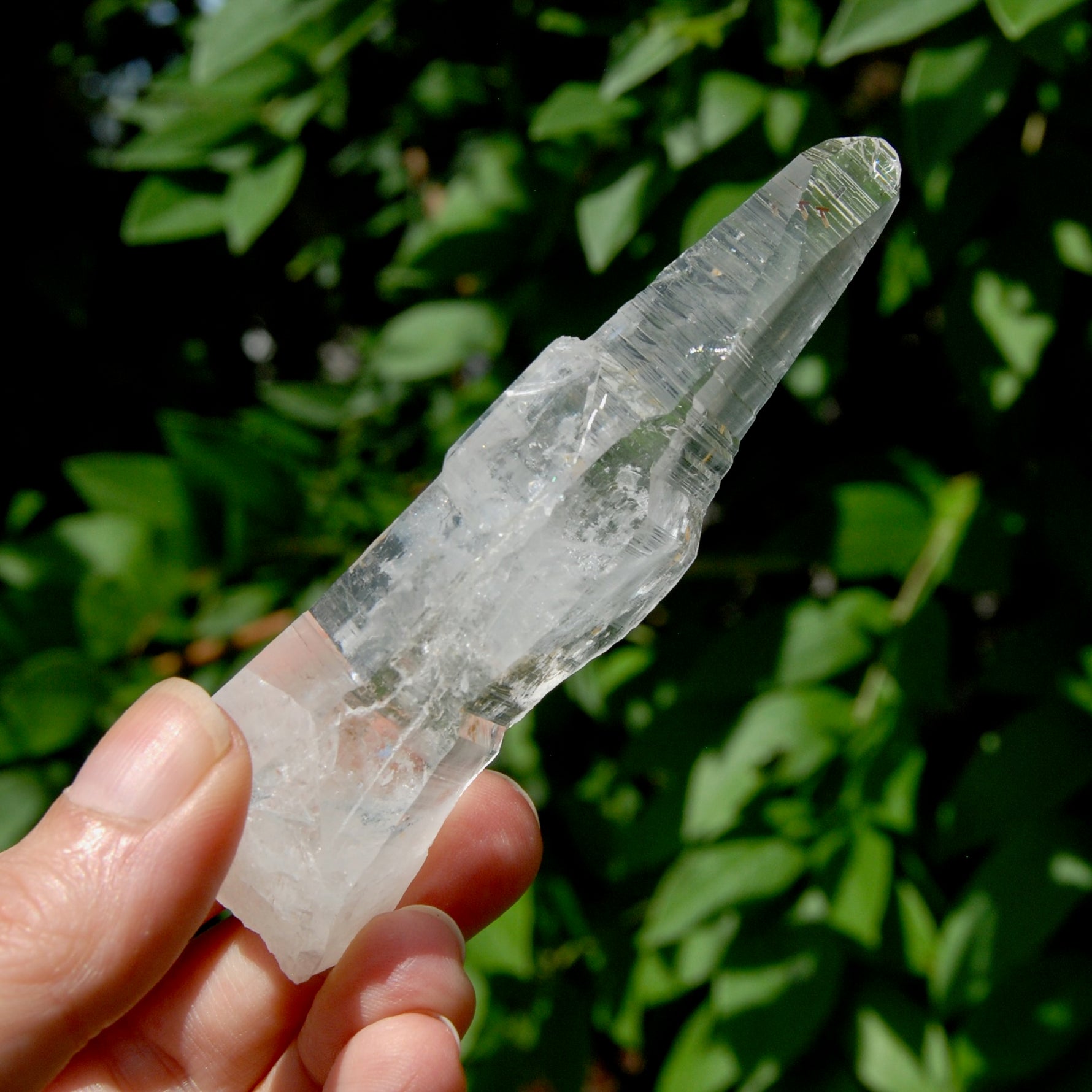 Lemurian Crystal Starbary - 4" 80g Etched Optical Quartz Tabby, Colombia 