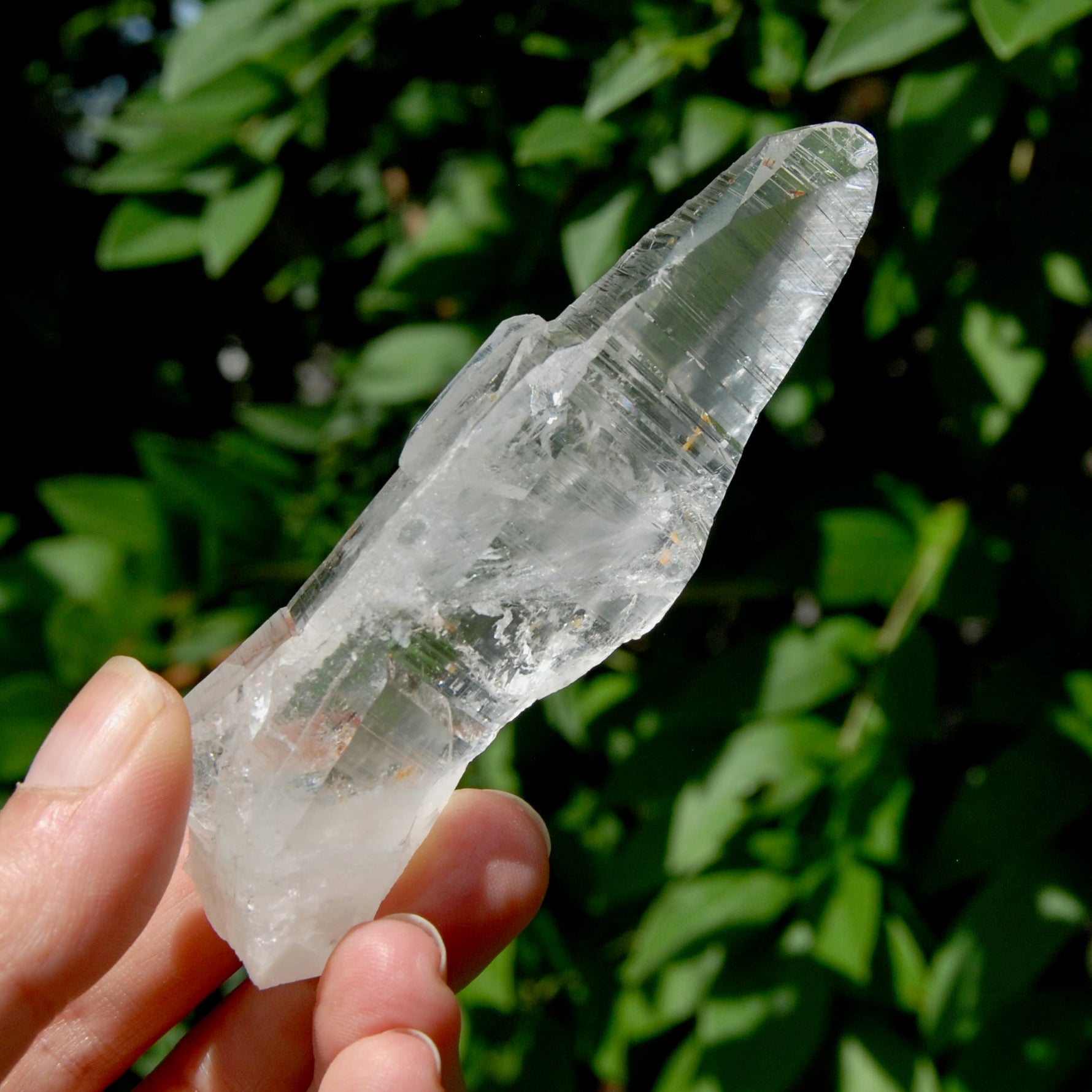 Lemurian Crystal Starbary - 4" 80g Etched Optical Quartz Tabby, Colombia 