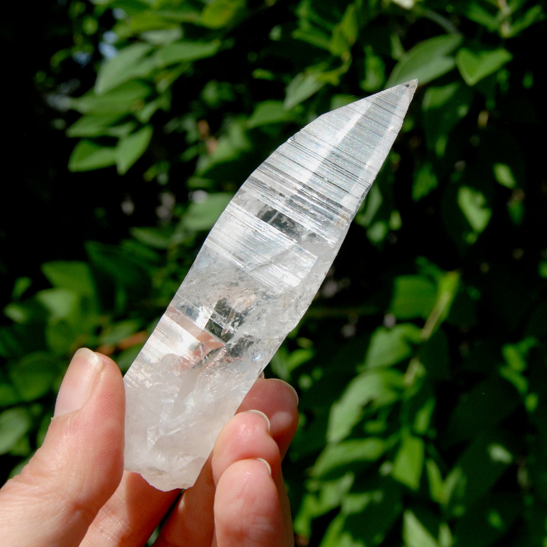 Lemurian Crystal Starbary - 4" 80g Etched Optical Quartz Tabby, Colombia 