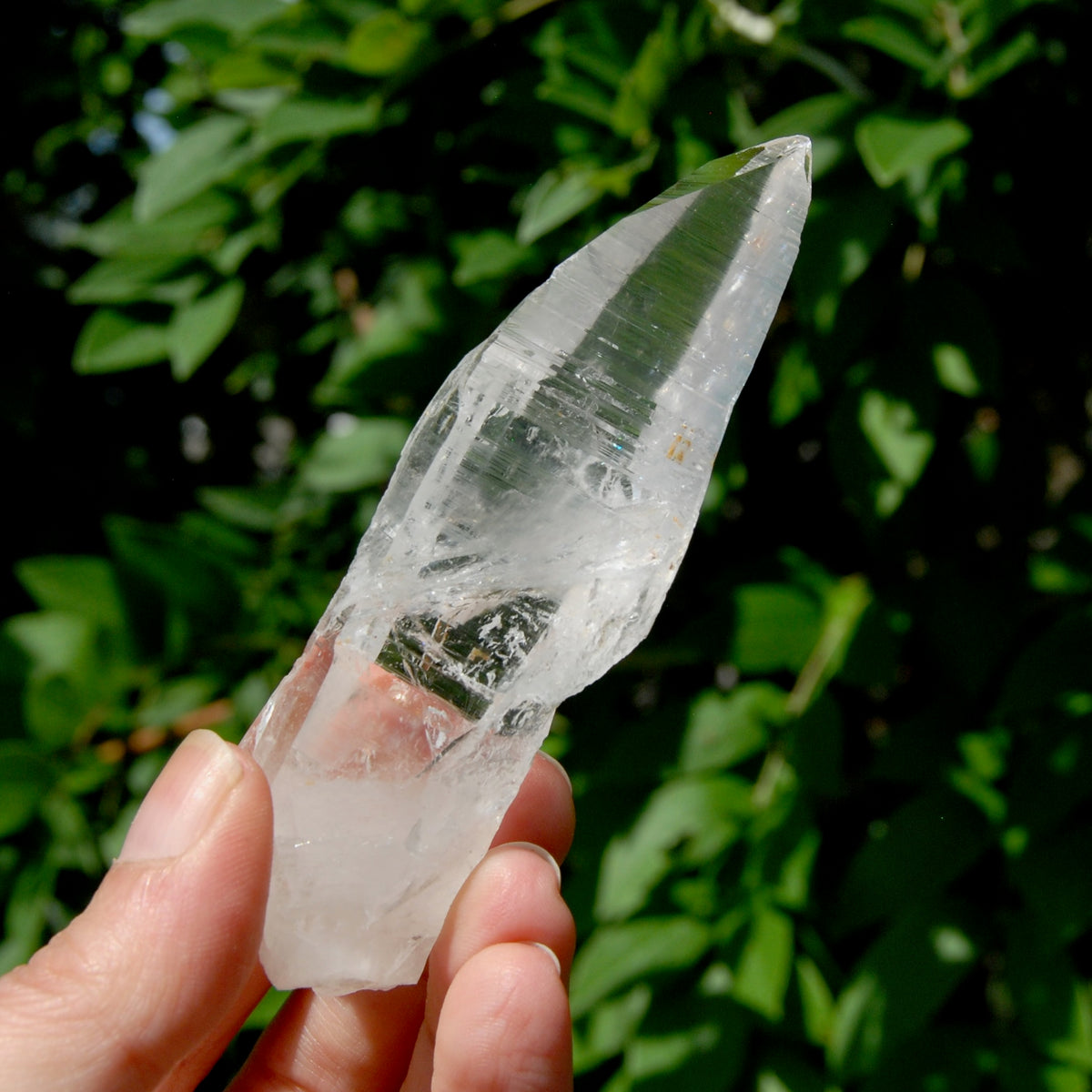 Lemurian Crystal Starbary - 4" 80g Etched Optical Quartz Tabby, Colombia 