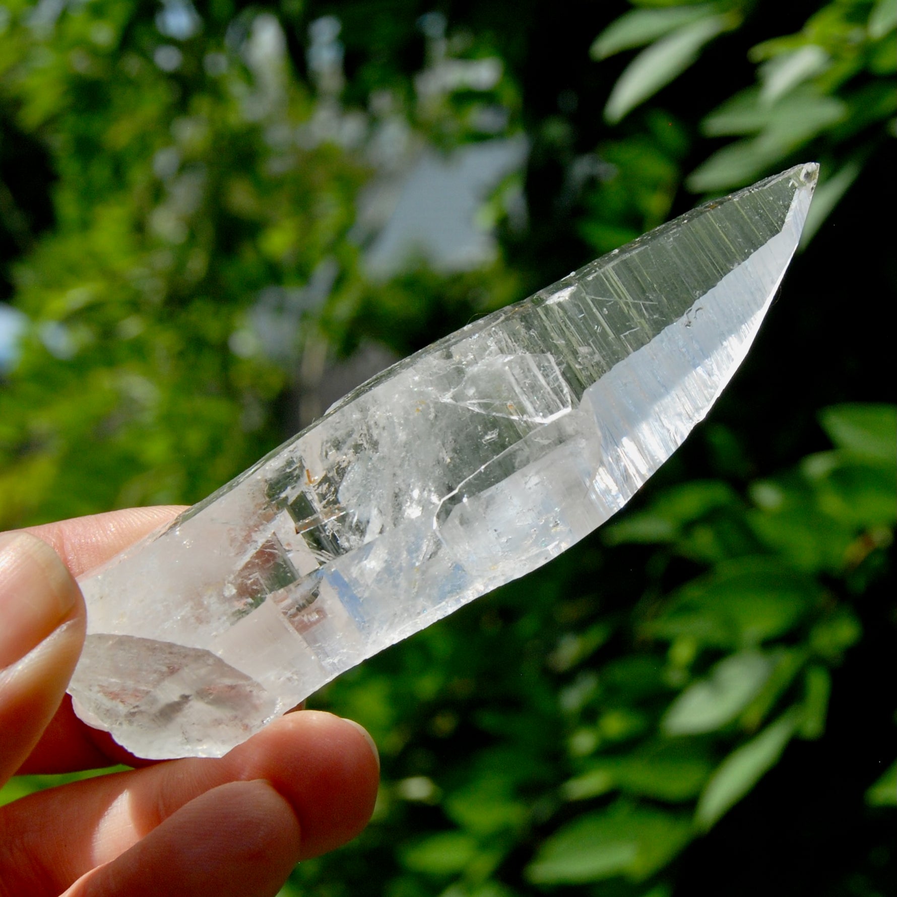 Lemurian Crystal Starbary - 4" 80g Etched Optical Quartz Tabby, Colombia 