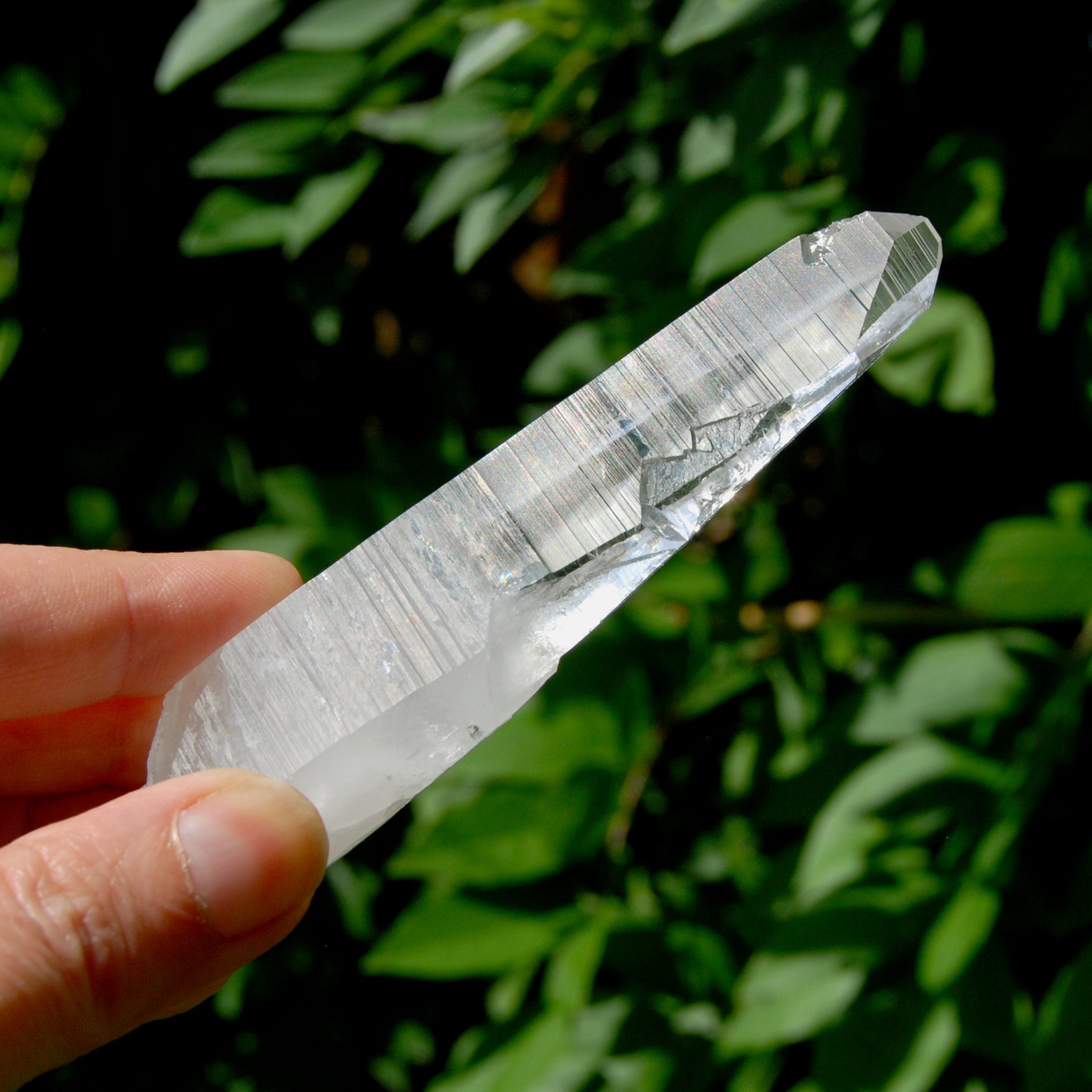 Lightning Strike Lemurian Crystal Starbary- 4.5" 69g Etched Singing Optical Quartz, Colombia