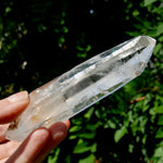 ET DT Lemurian Crystal Starbary - 5.25" 186g Golden Healer Etched Inset Optical Quartz, Colombia