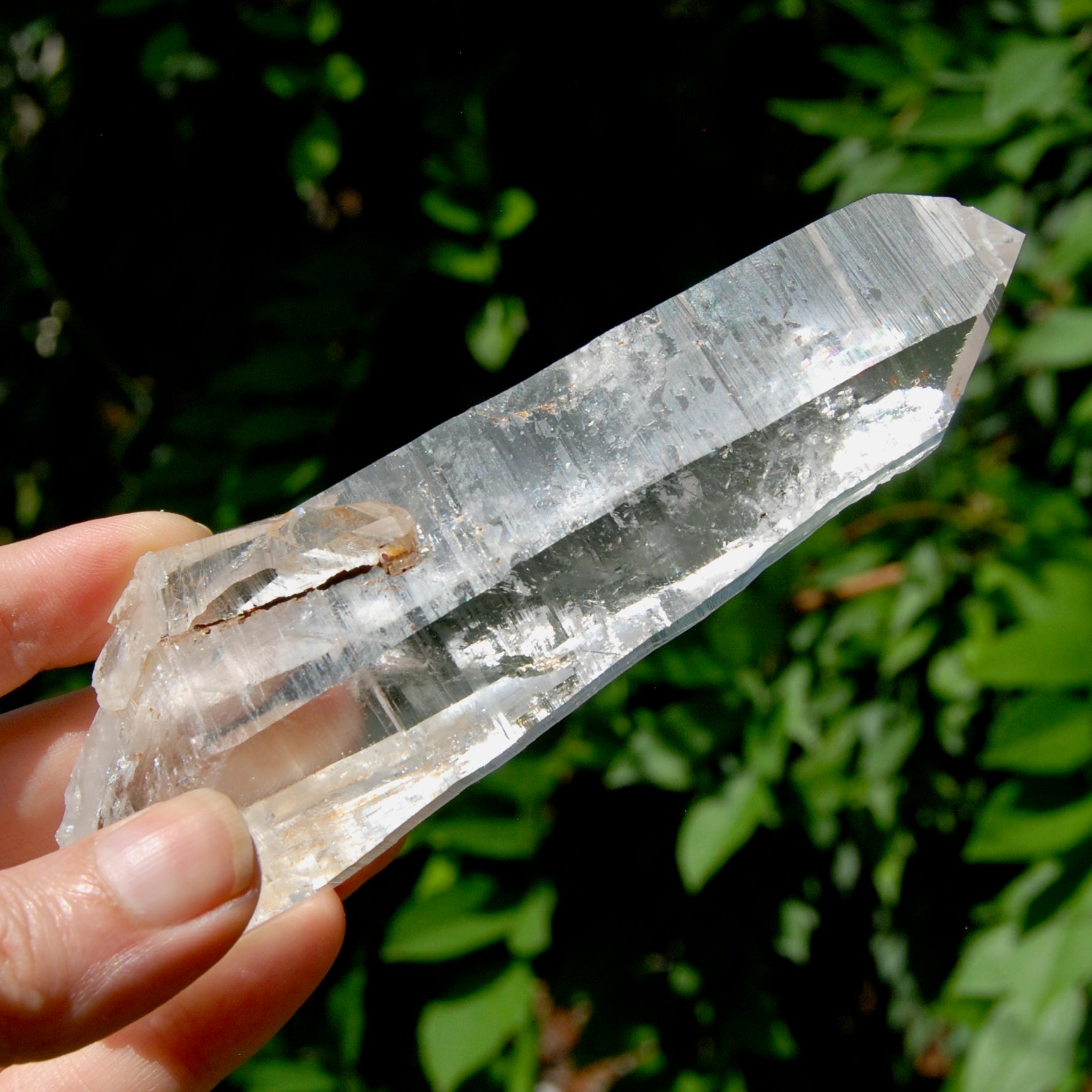 ET DT Lemurian Crystal Starbary - 5.25" 186g Golden Healer Etched Inset Optical Quartz, Colombia